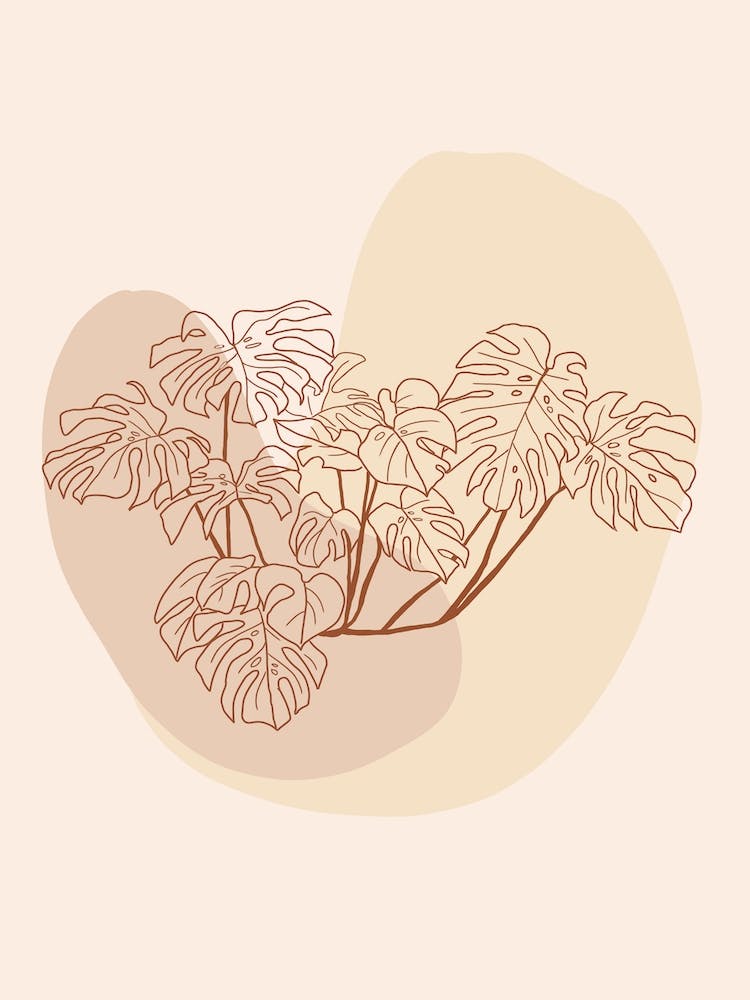 Modern Neutral Monstera Deliciosa