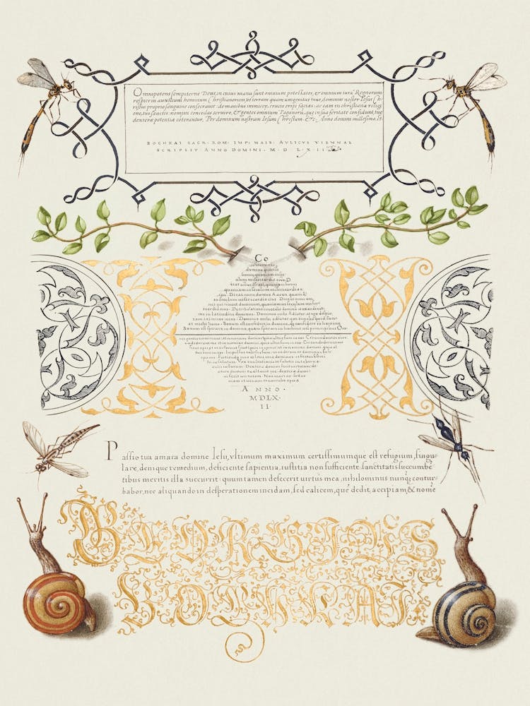 Insects, Basil Thyme, And Land Snails From Mira Calligraphiae Monumenta, Joris Hoefnagel