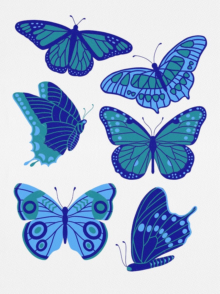Texas Butterflies   Blue And Teal