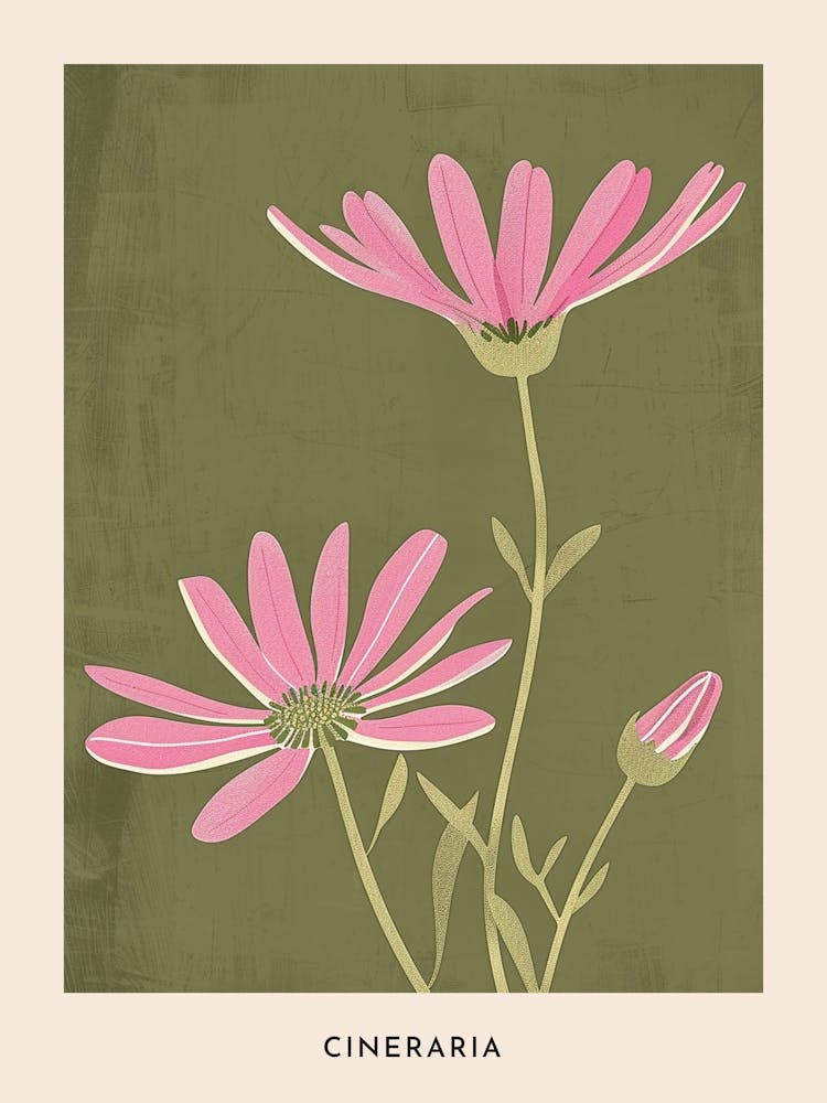Affiche de Fleurs Cinéraire Rose et Vert 3