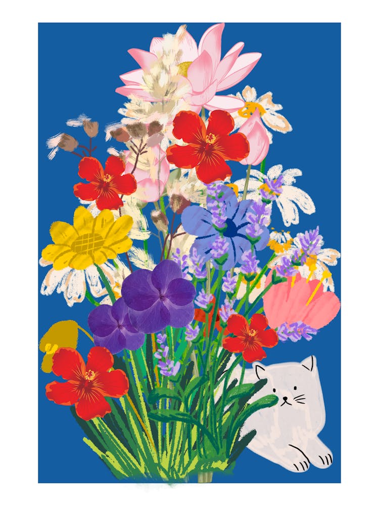 The white cat