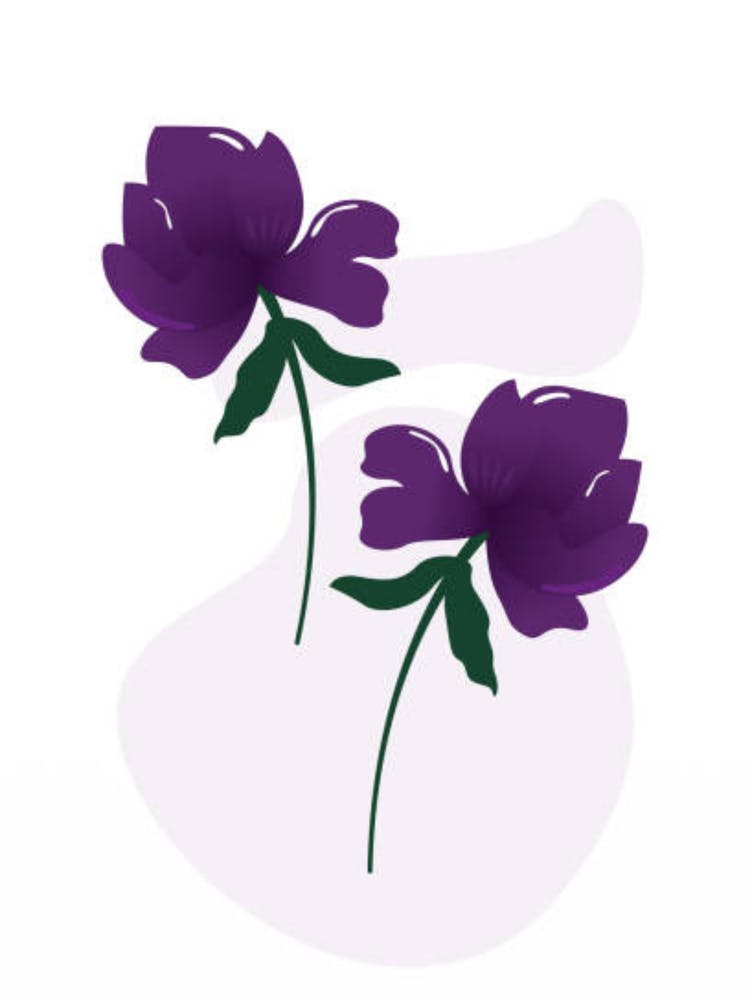 Two Purple Flowers