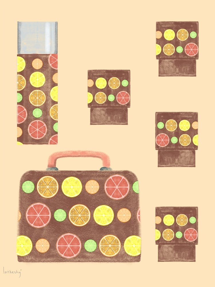DDR Picnic set