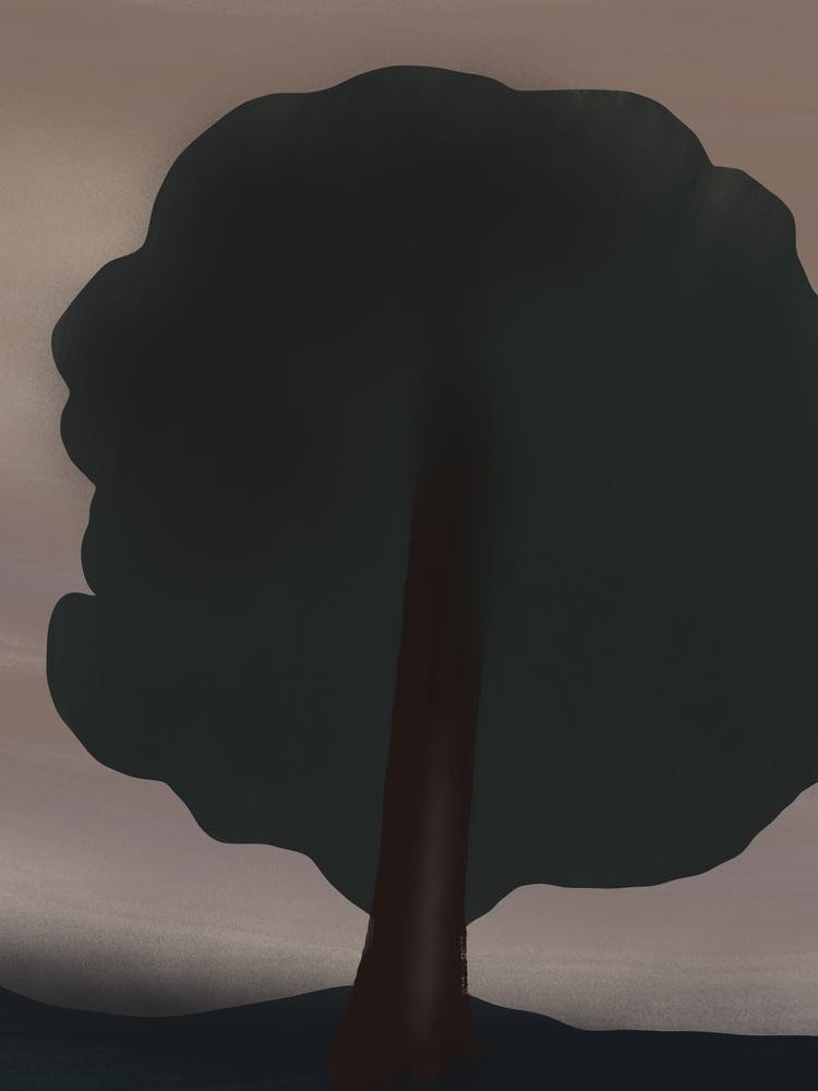 Lone Tree 1