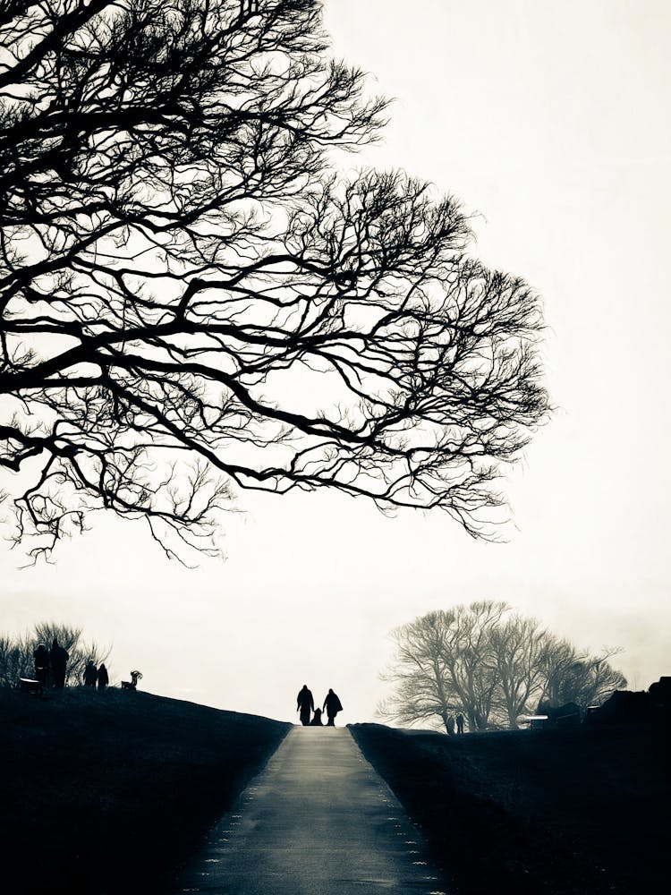 Family On A Tree Lined Path