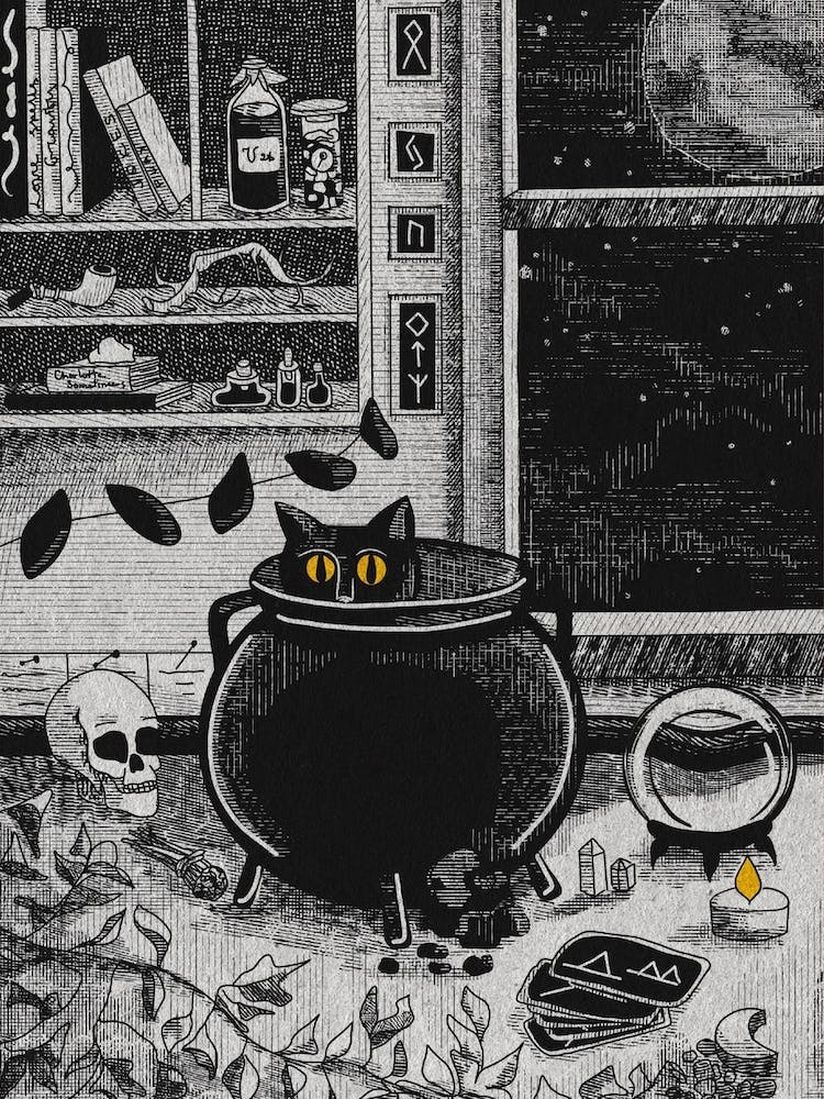 Witches Cauldron. Black Cat in A Pot. Witchcraft
