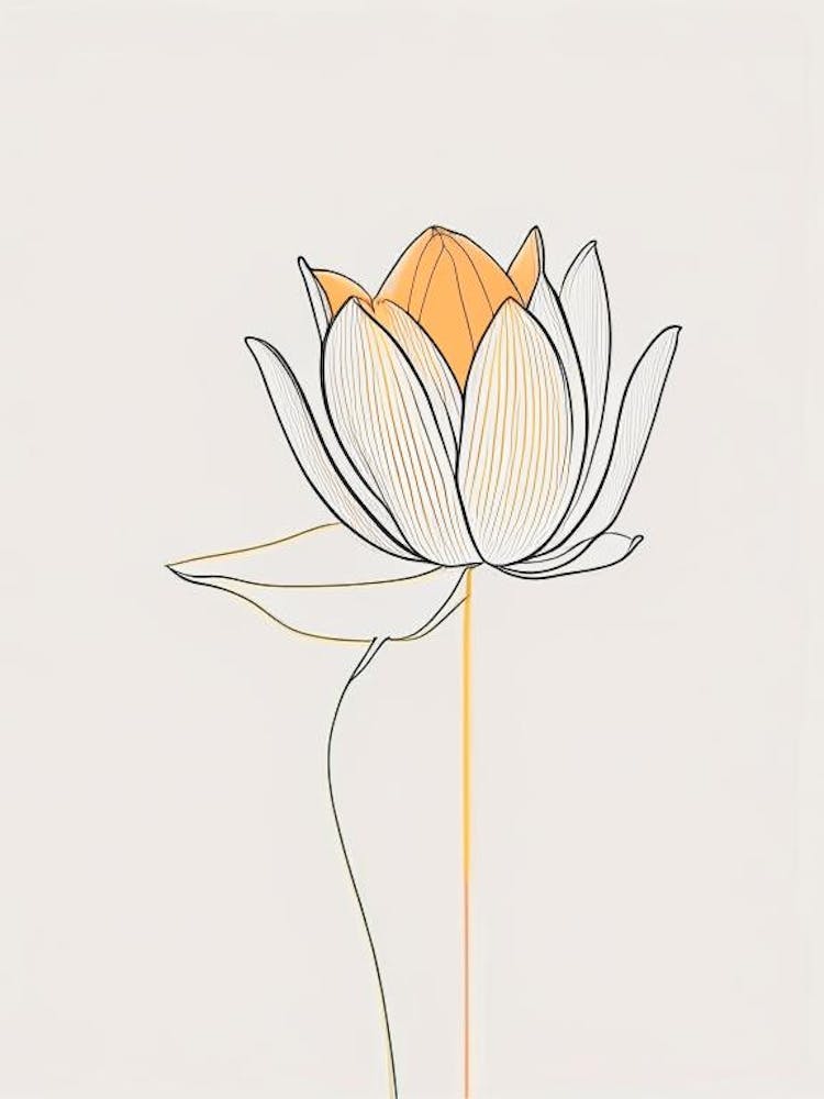Amur Lotus Minimal Line Drawing 3