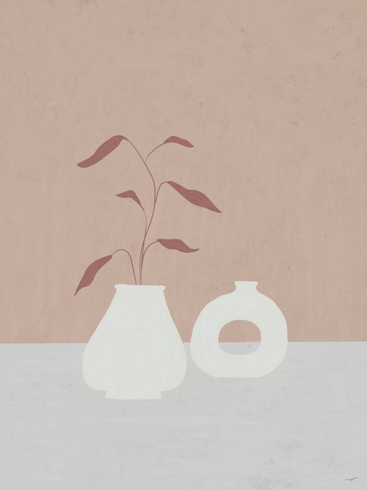 Vases And Plant