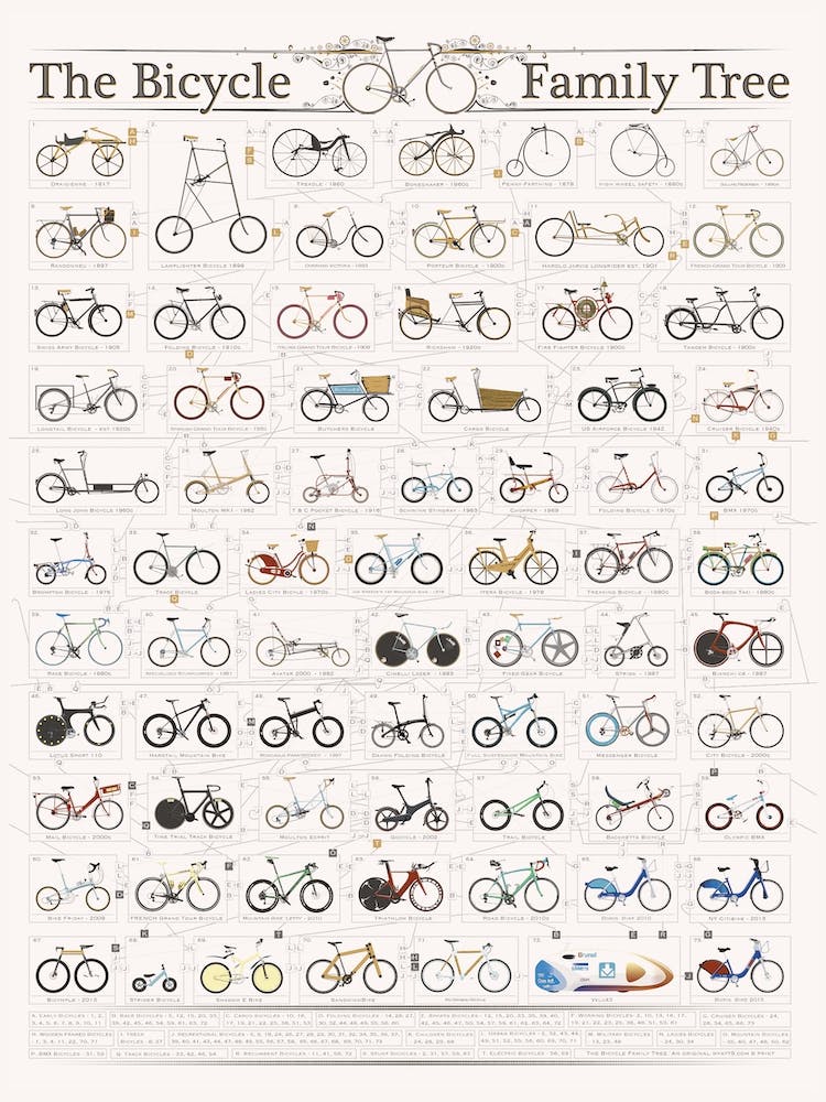 Bicycle Family Tree