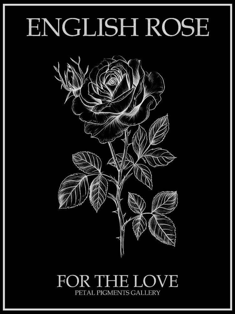 English Rose Black And White Line Drawing 25 Poster Inverted