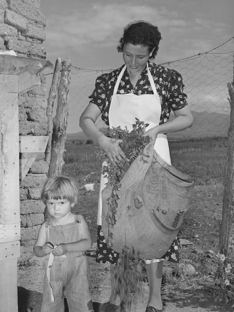 Spanish American Woman And Her Son With Greens Which They Feed To Their Rabbits Near Taos, New Mexico By