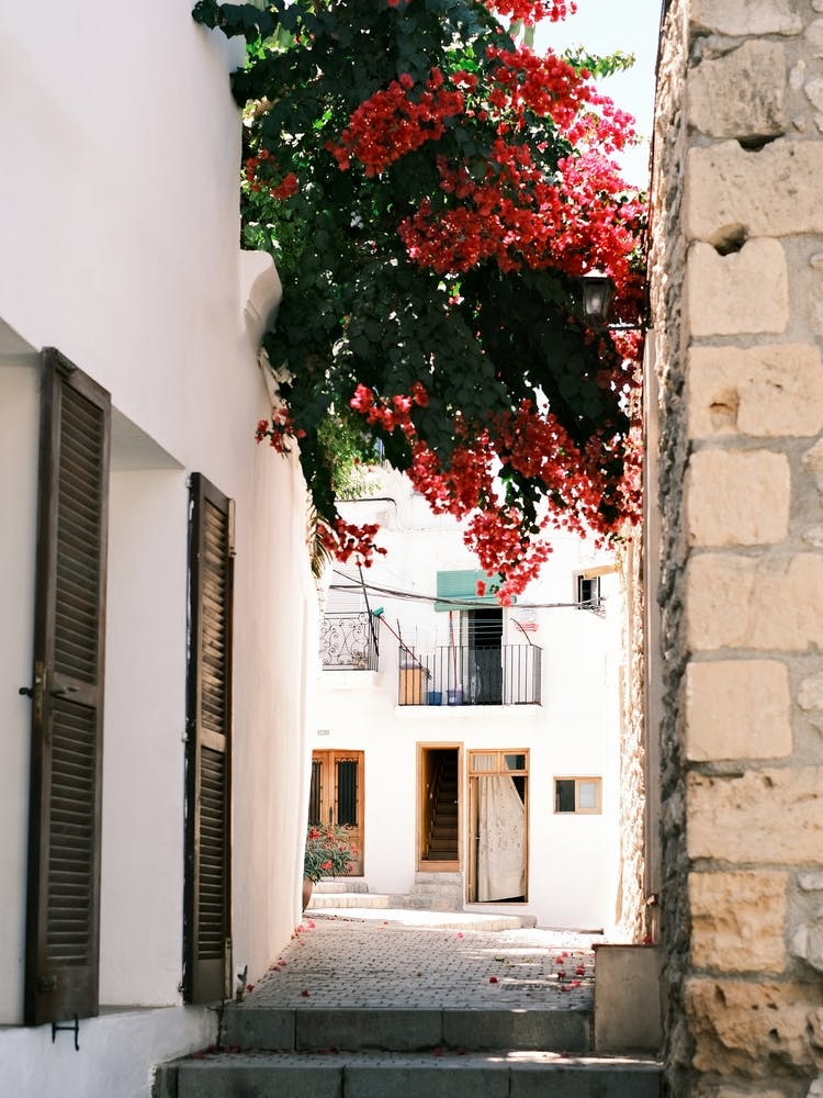 Straße in Eivissa // Ibiza Reisefotografie