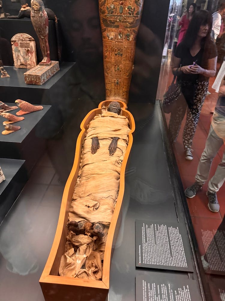 Mummies Of Egypt