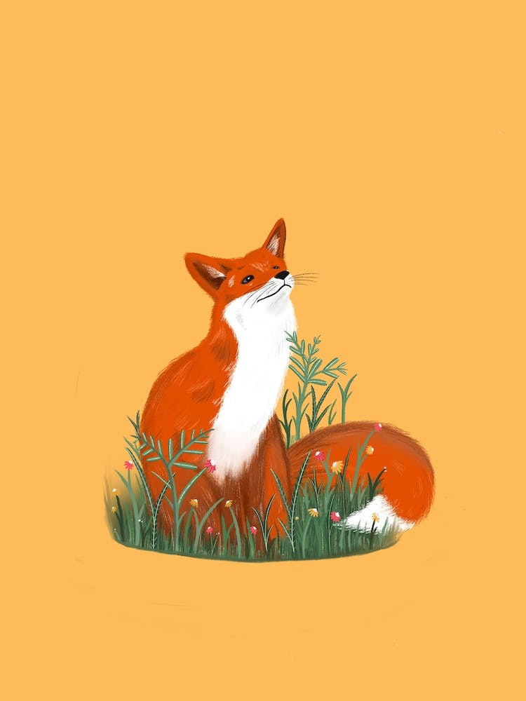 Gelber Fuchs