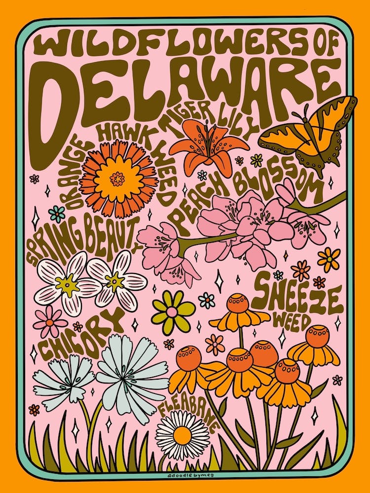 Delaware Wildflowers