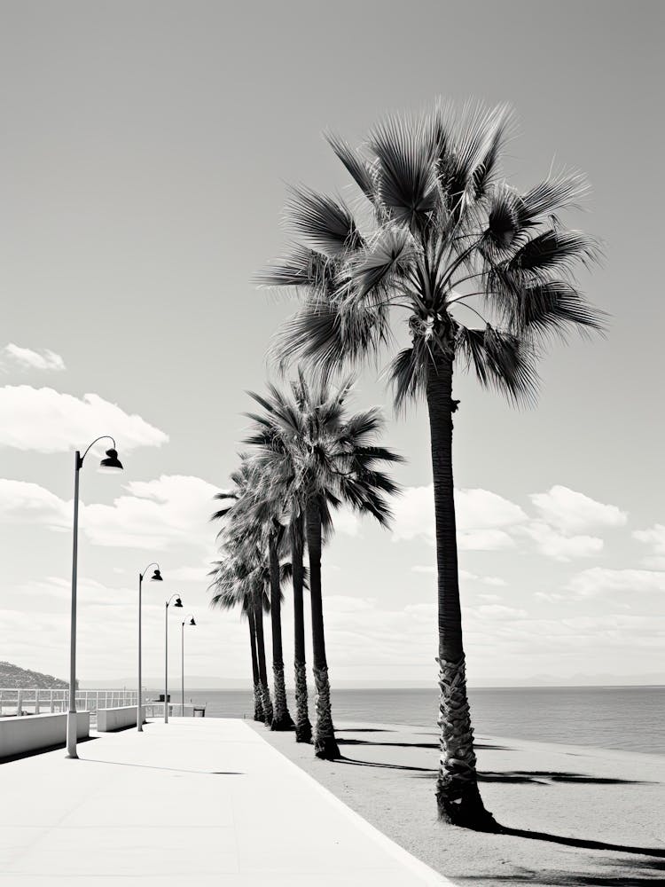 Cannes, France, Photography In Black And White 3