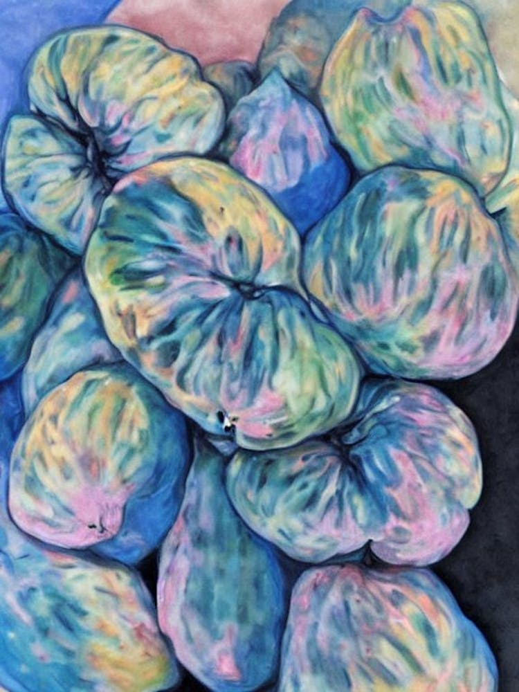Cherimoya 1 Classic Fruit