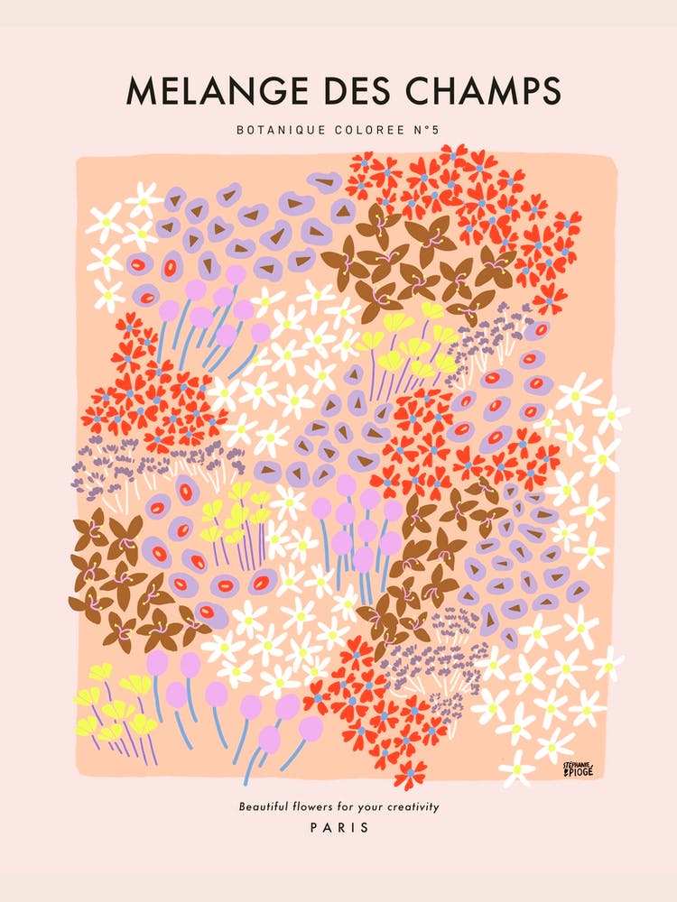 Botanic Collection - Peach Fuzz - Mélange des Champs Ditsy Flowers