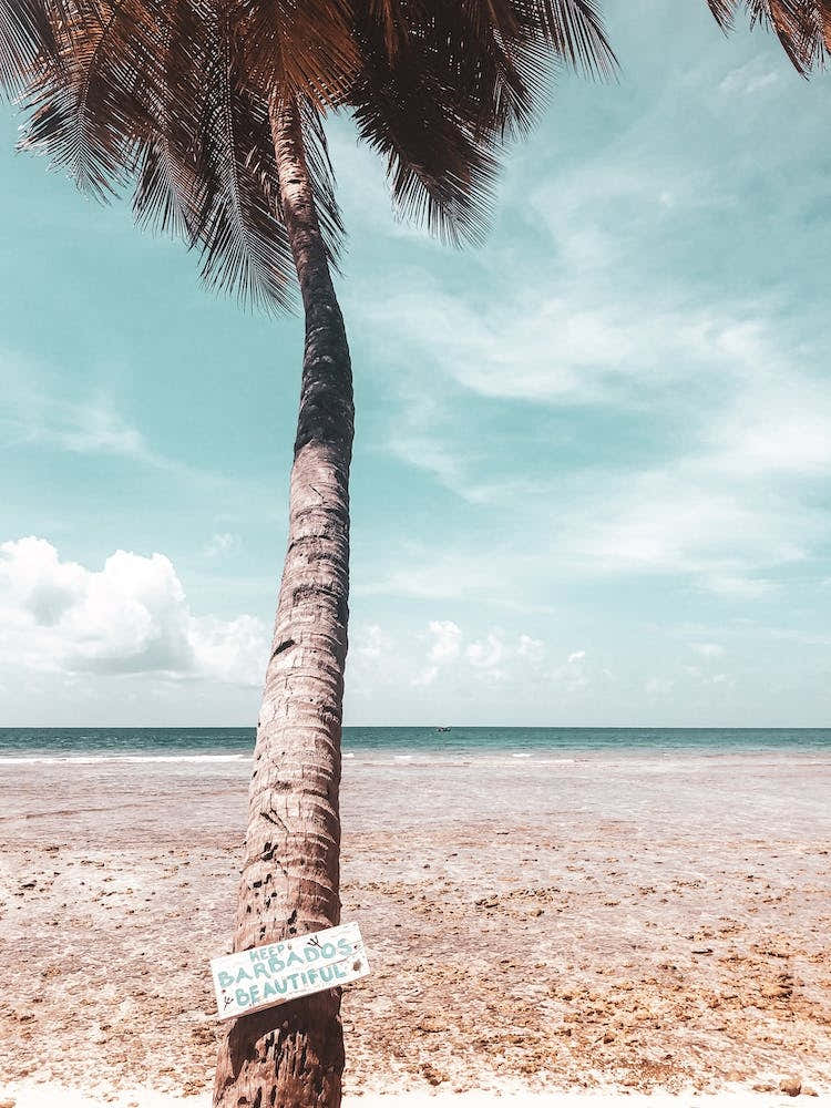 Keep Barbados Beautiful