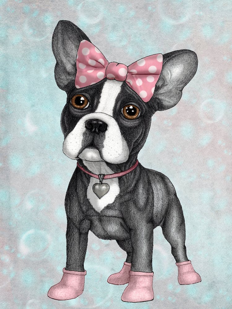 Sweet Frenchie