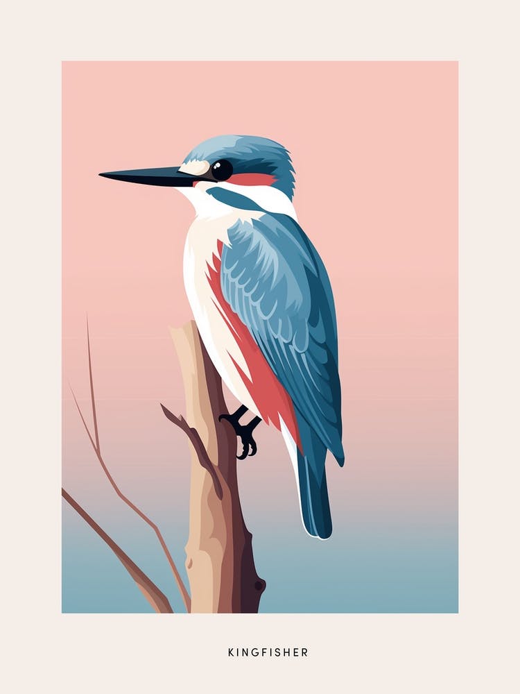 Minimalist Kingfisher 3 Bird Poster