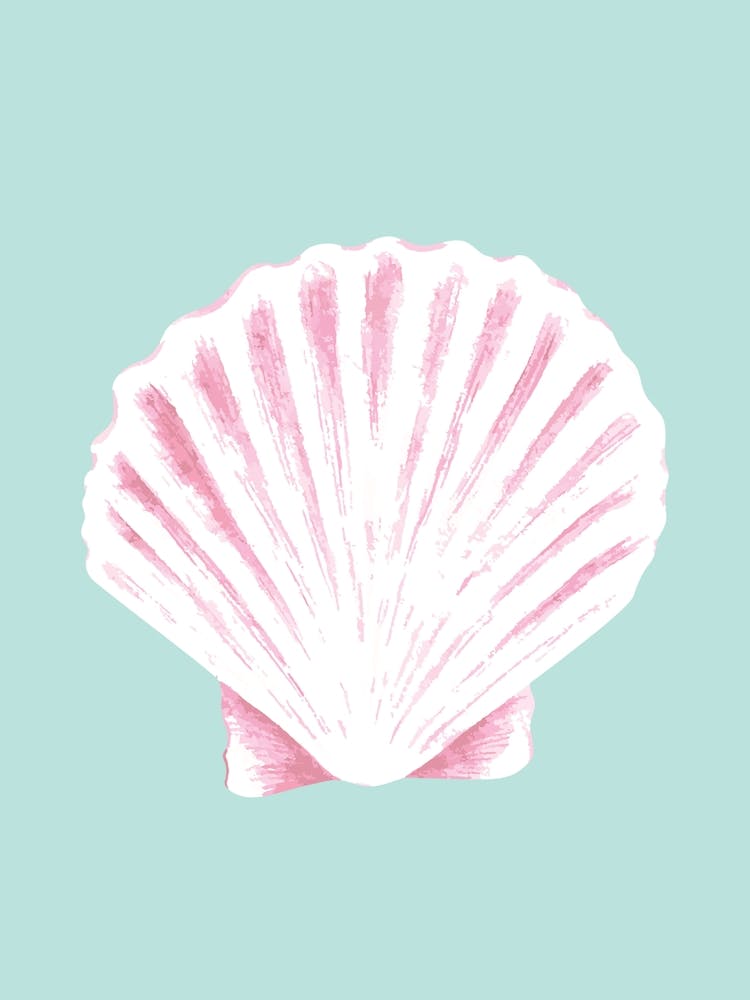 Pink Seashell