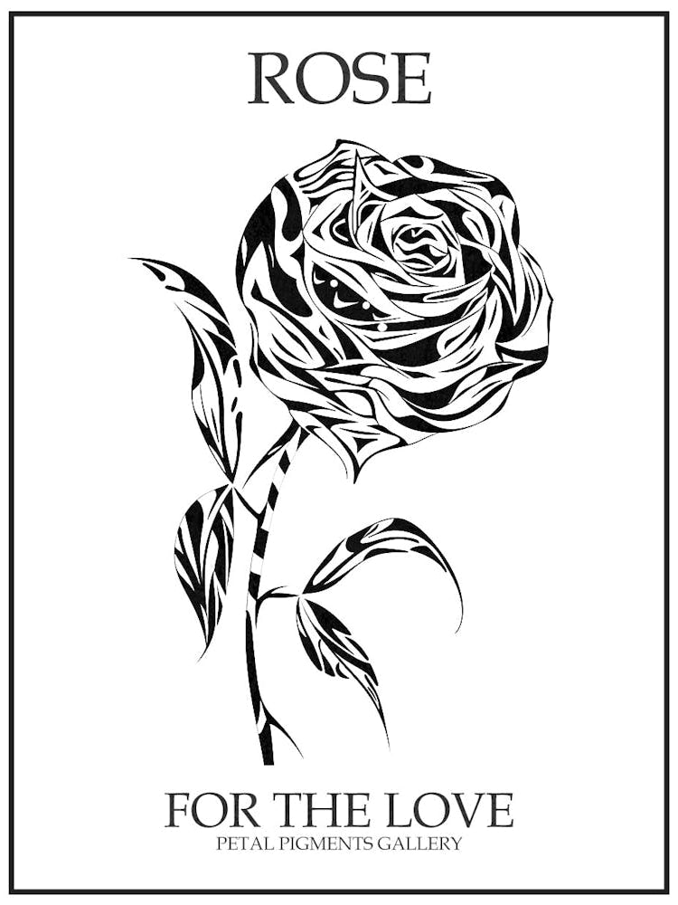 Black And White Rose Line Drawing 6 Poster
