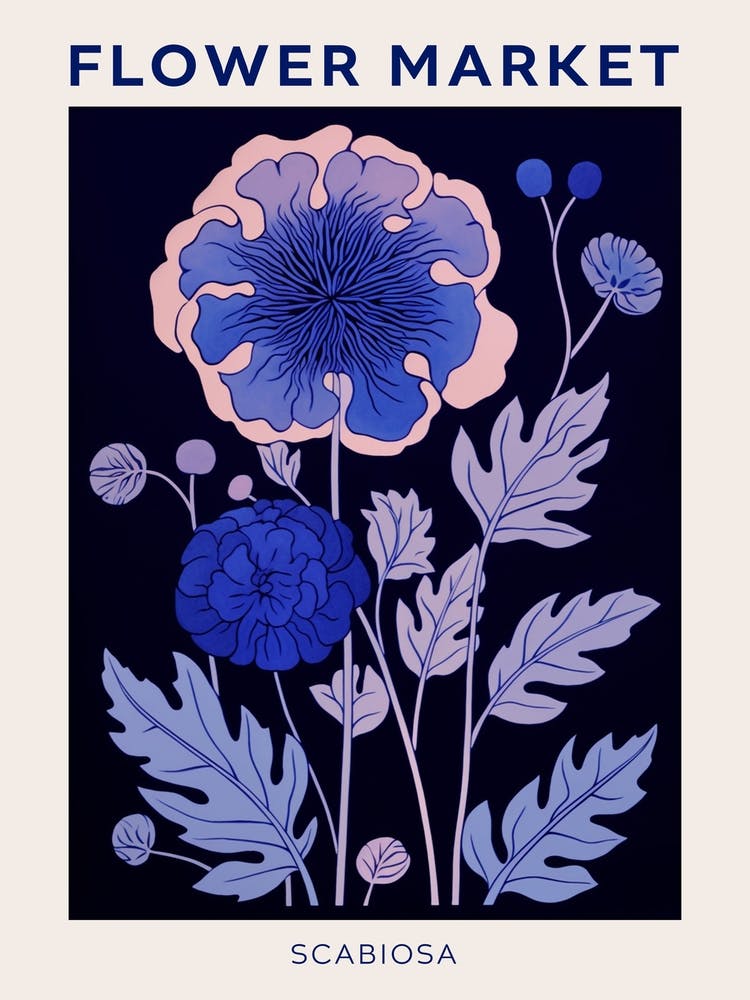 Blaues Blumenmarkt-Poster Scabiosa 2