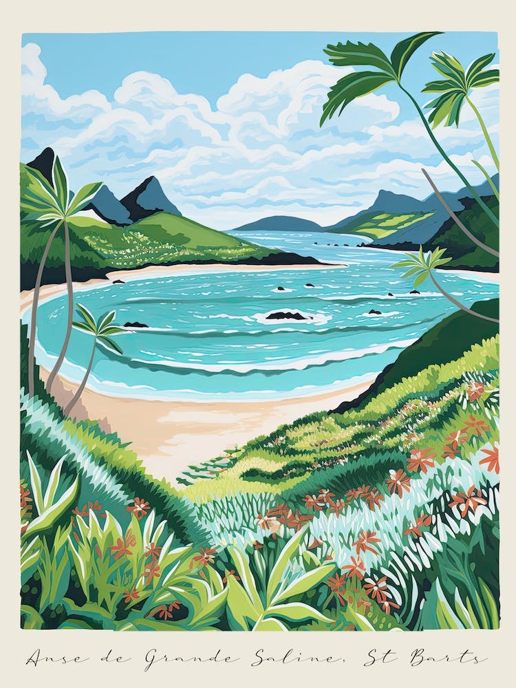 Affiche de Anse De Grande Saline St Barts, Style Matisse et Rousseau 4