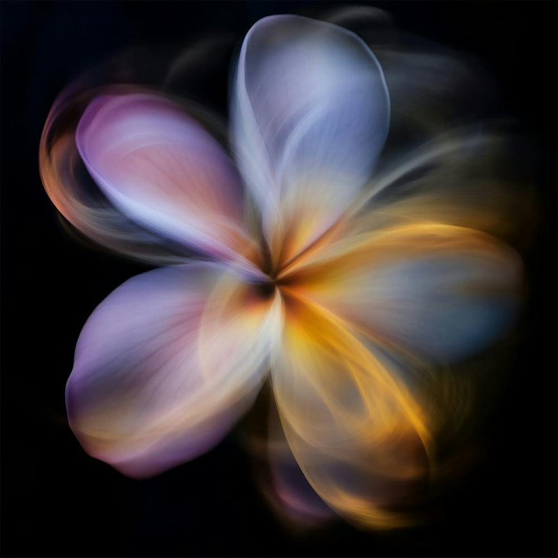 Hawaiian Flower 1