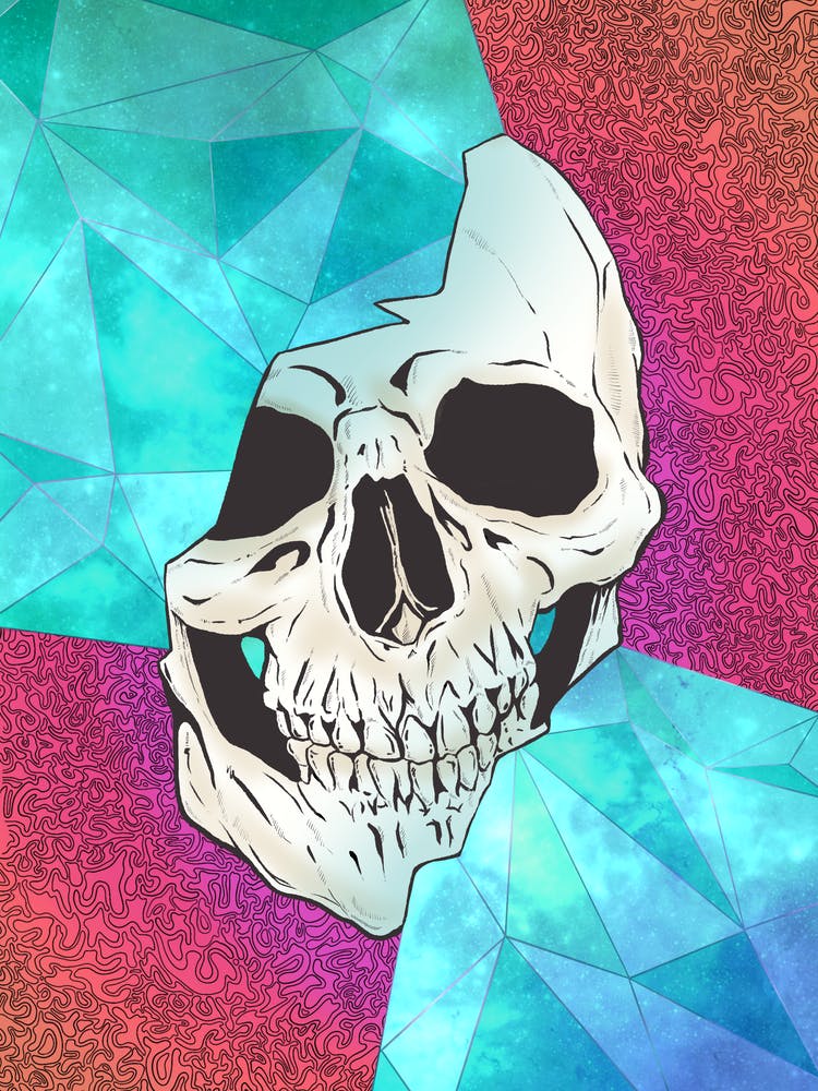 Skull Art