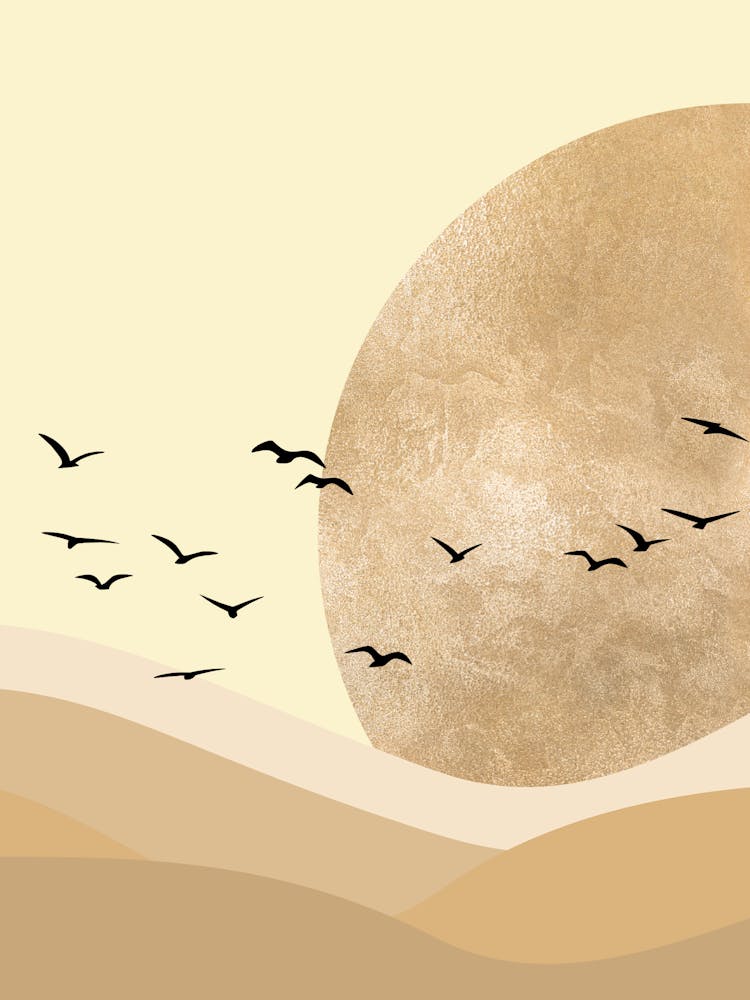 Boho Sun,Flying Birds