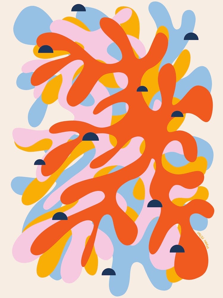 Seaweed
