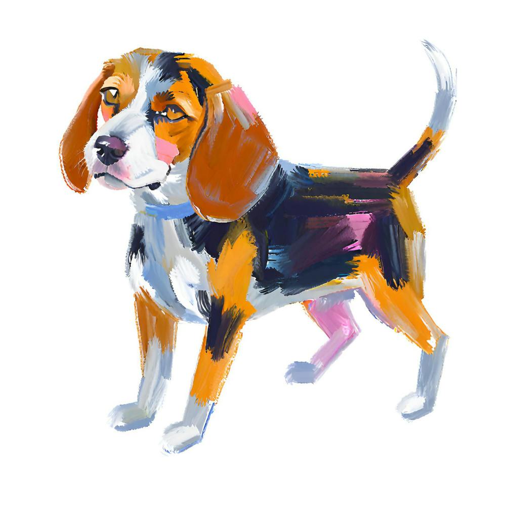 Beagle 03