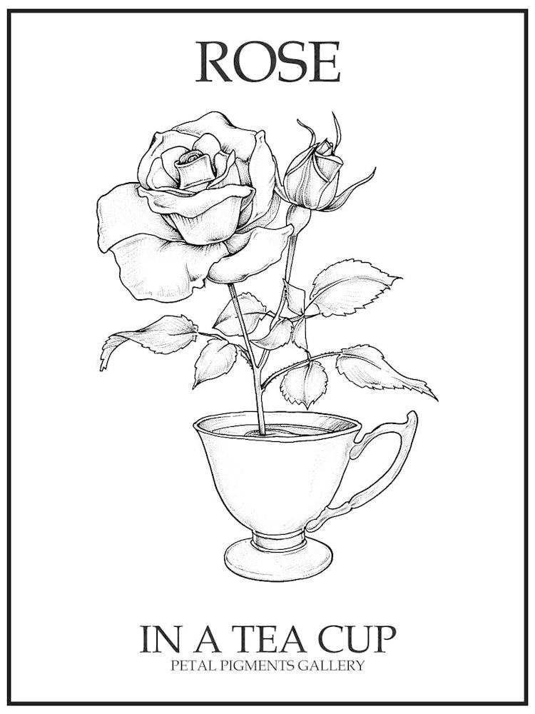 Rose In A Tea Cup Line Drawing 1 Poster