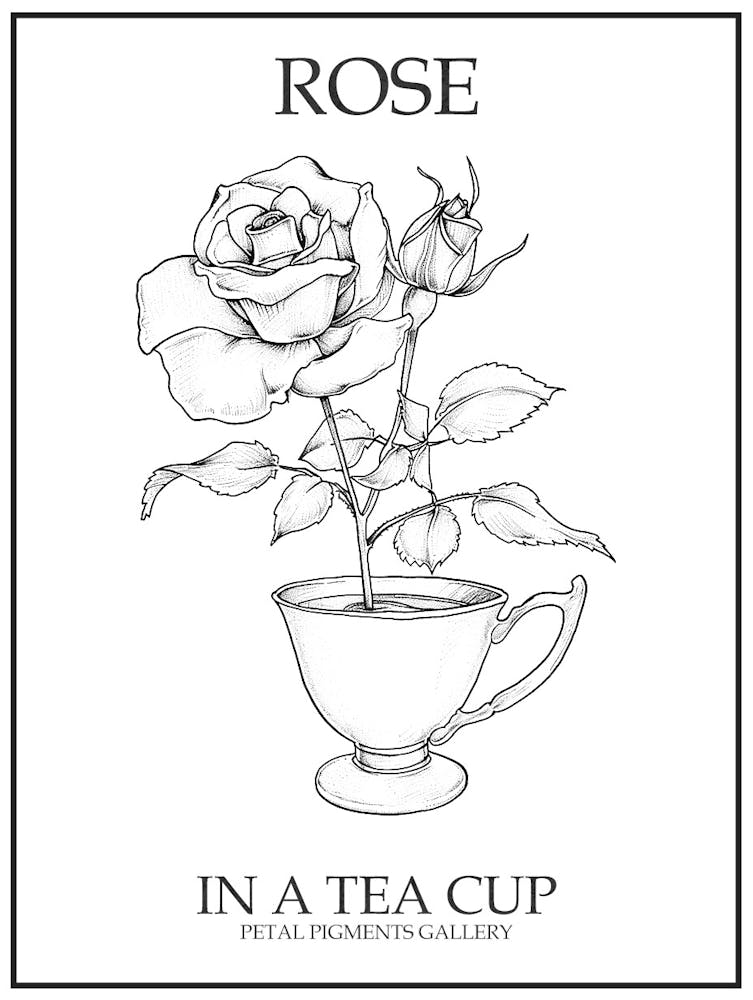 Rose In A Tea Cup Line Drawing 1 Poster
