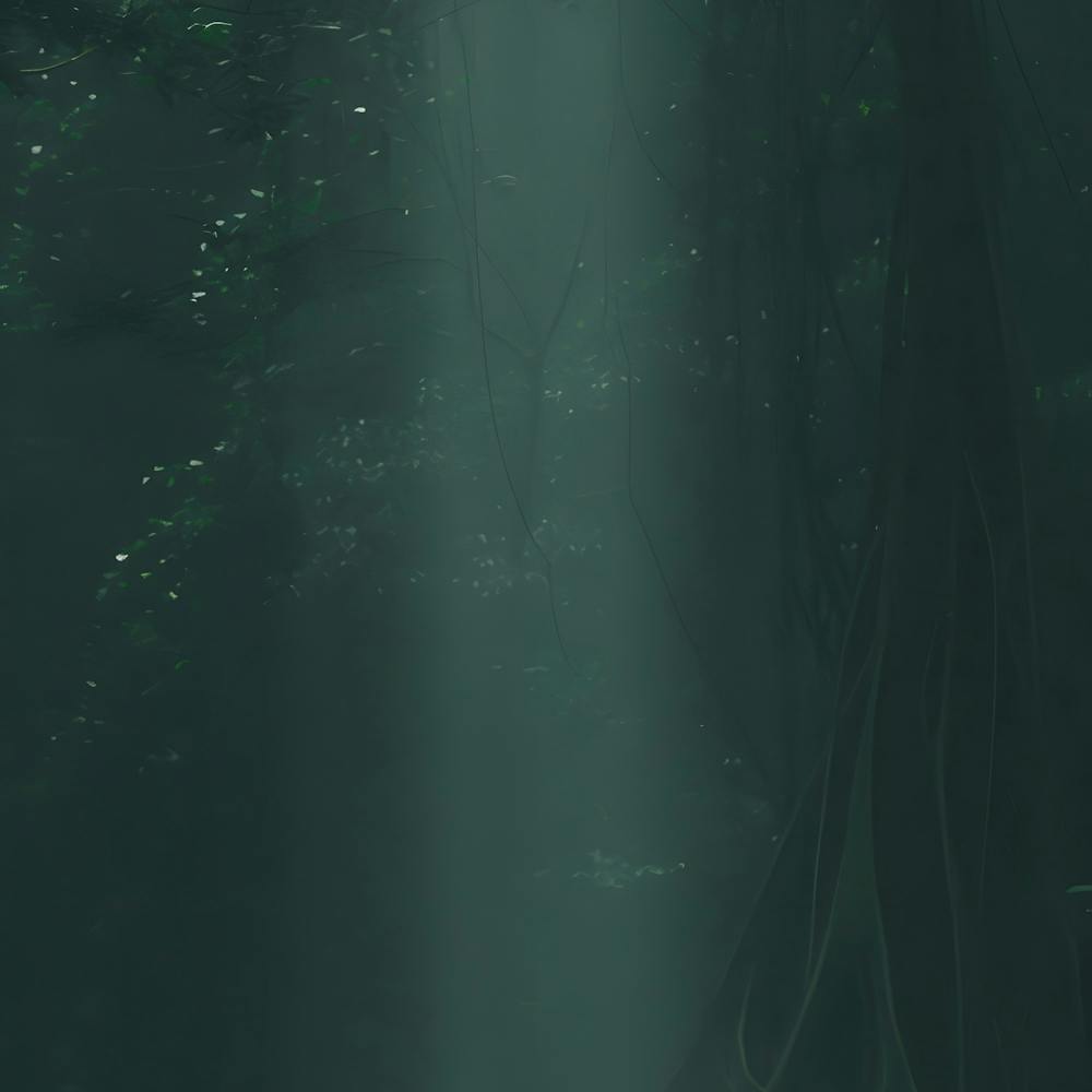 Indian Forest