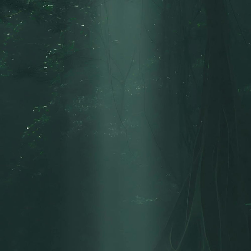 Indian Forest