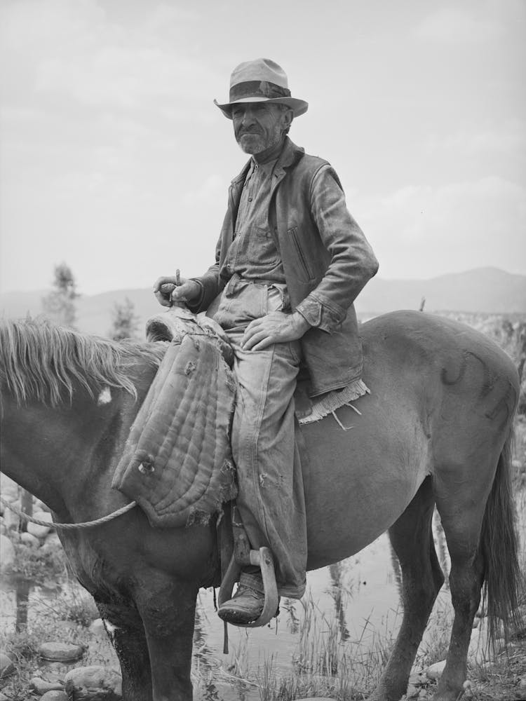 Spanish American Farmer On His Horse, Rodarte, New Mexico By Russell Lee