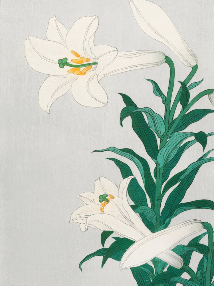 Lily Of The Valley 15