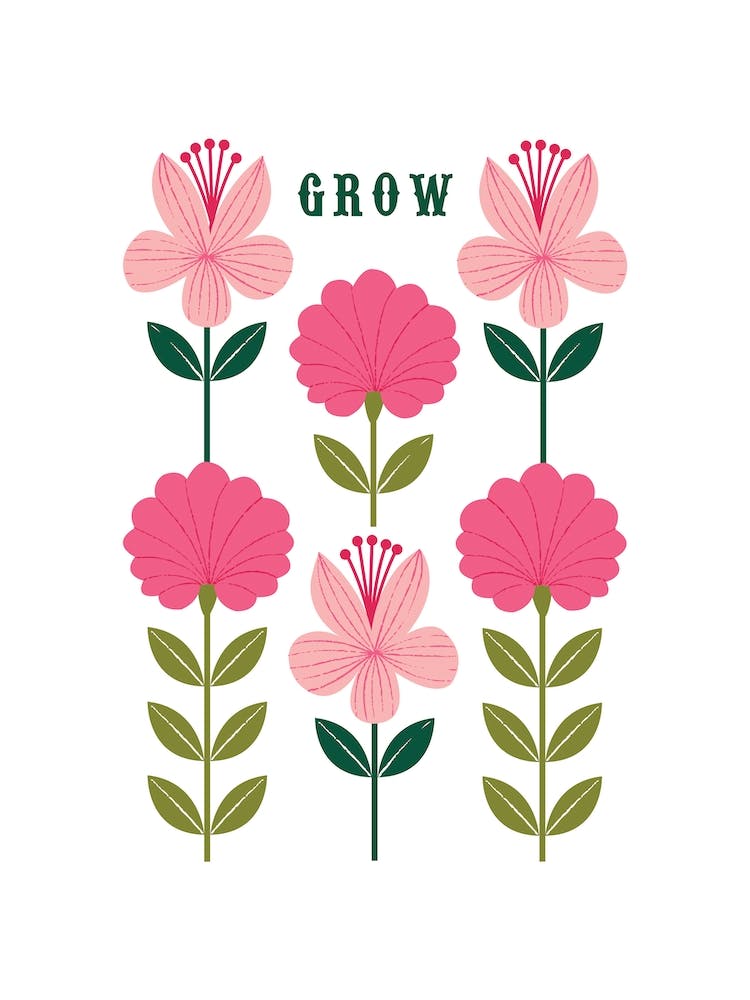Grow Flowers Pinks