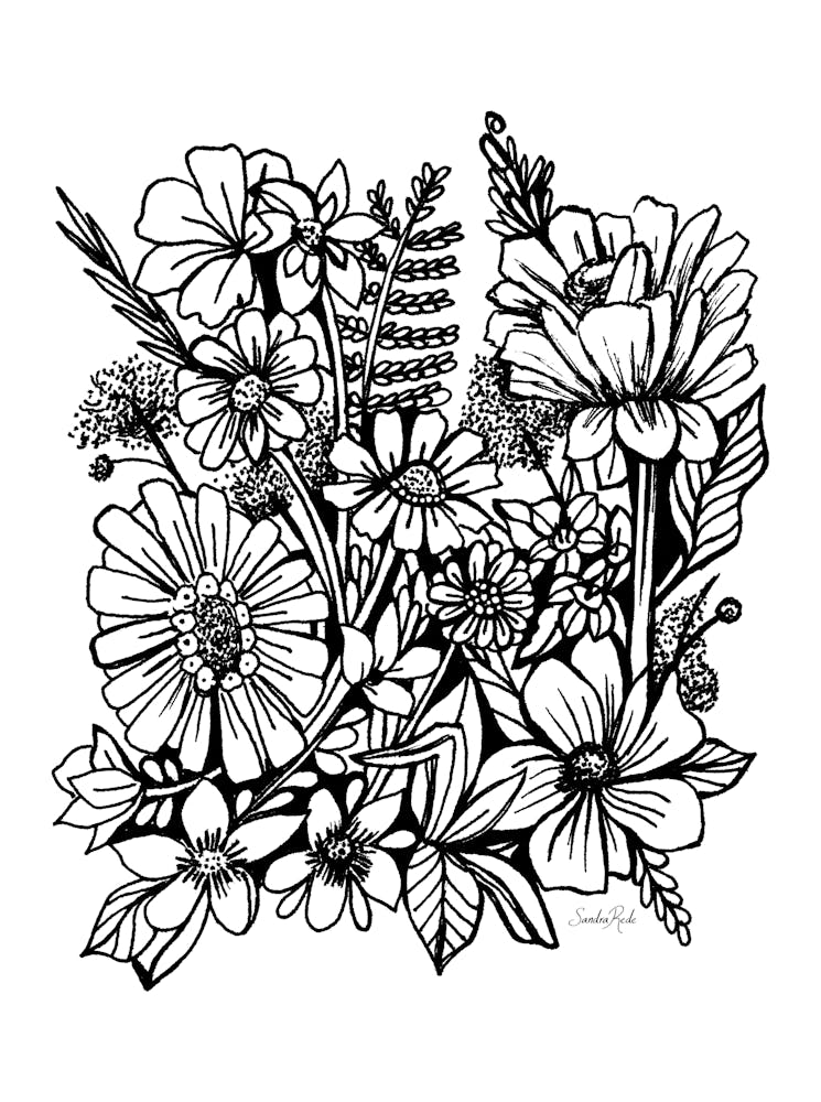 Flores BN4