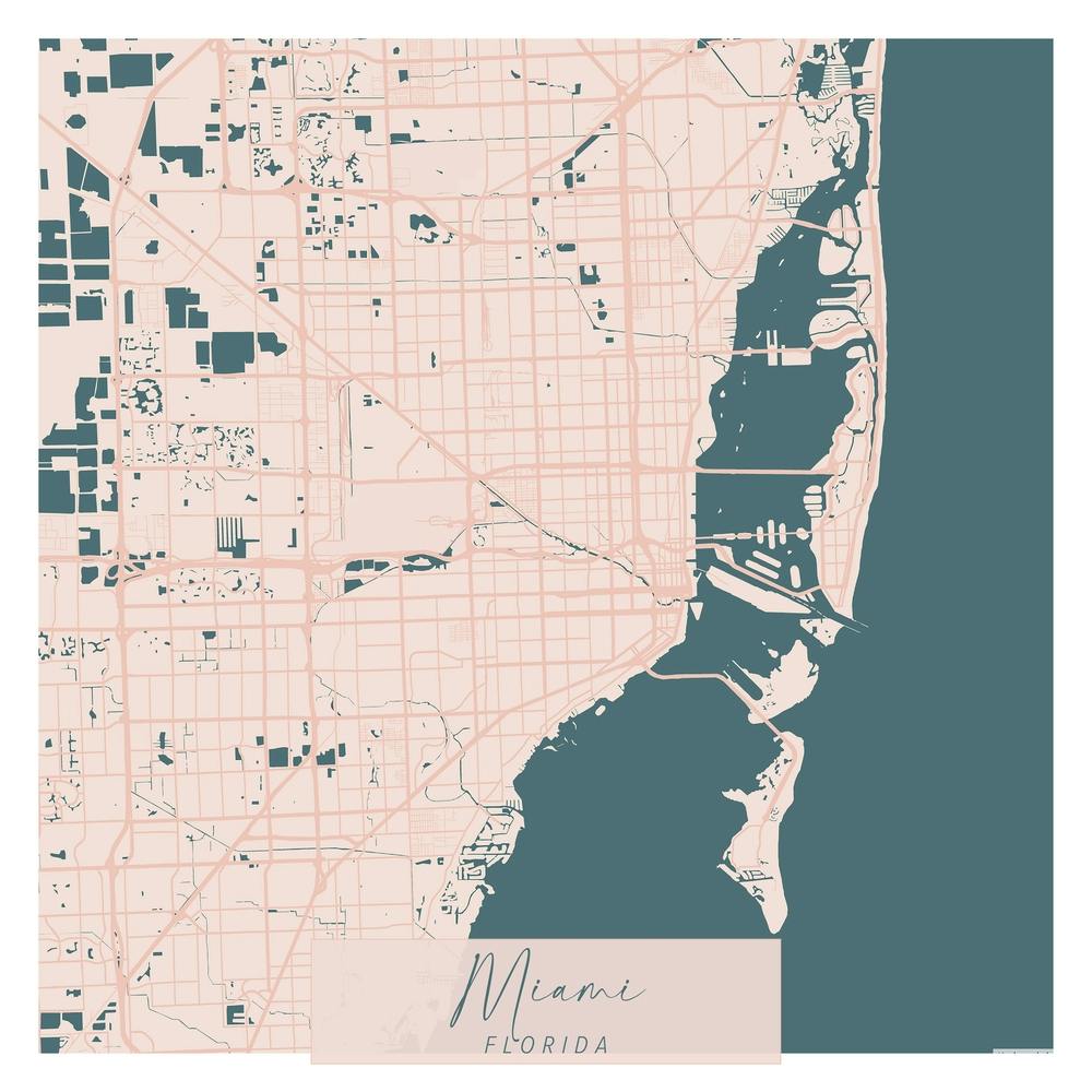 Miami Florida Pink and Blue Cute Script Street Map