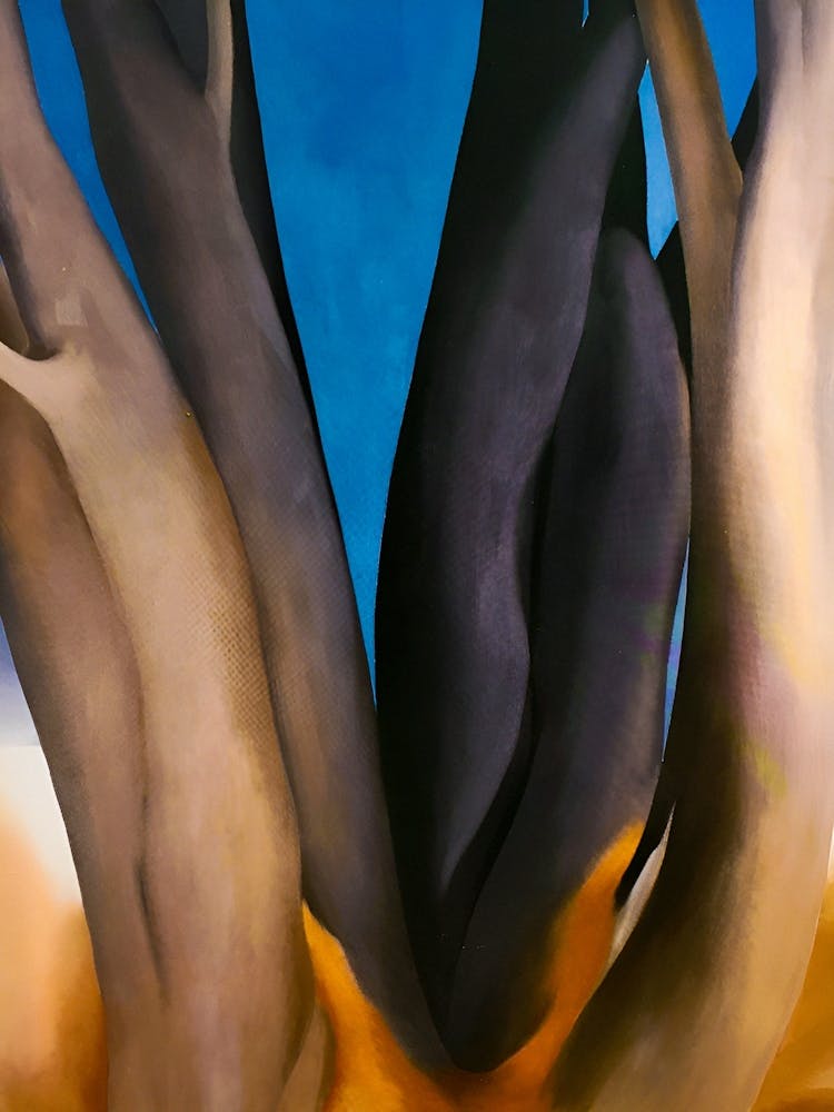 Georgia OKeeffe - Dark Tree Trunks