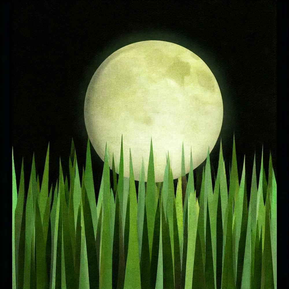 Full Moon Over Grass 1