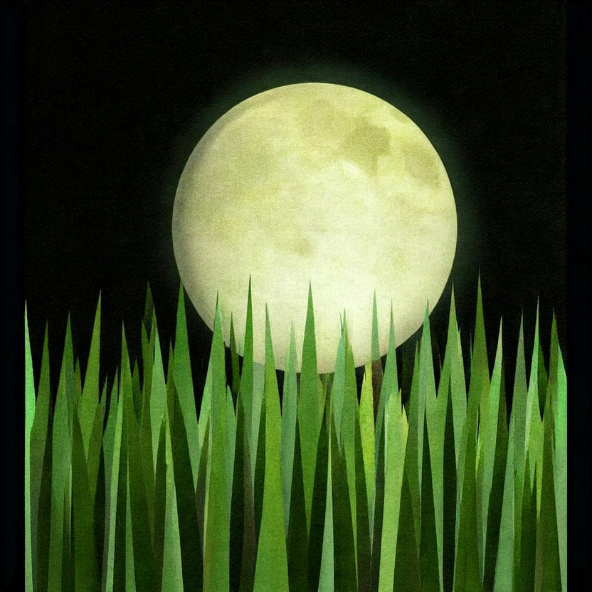 Full Moon Over Grass 1