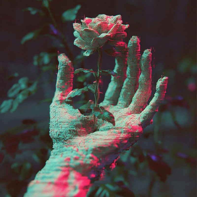 Hand Holding A Rose