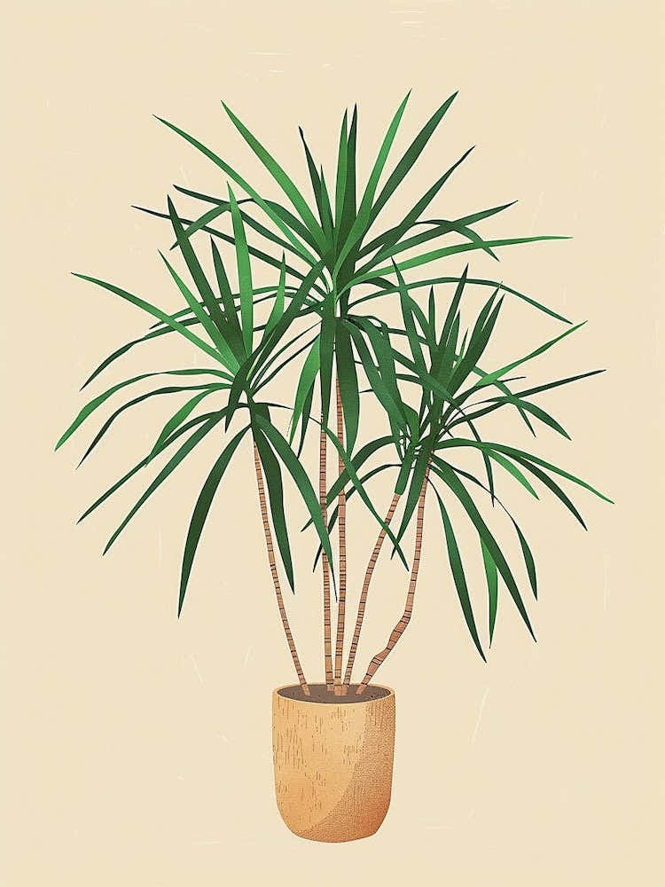 art dracaena plant Dracaena Plant Minimalist Illustration 8 Art Print by Petal Pigments – Fy!