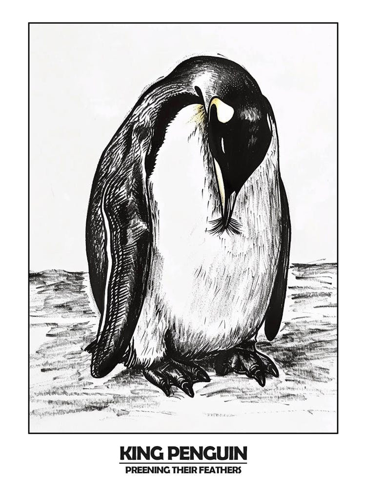 Penguin Preening Their Feathers Poster 6