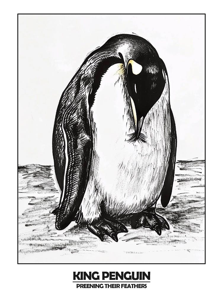 Penguin Preening Their Feathers Poster 6